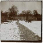 Bois de Cheppy - 1916