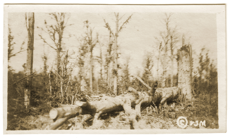 Le terrain de l'offensive américaine du 26 septembre 1918