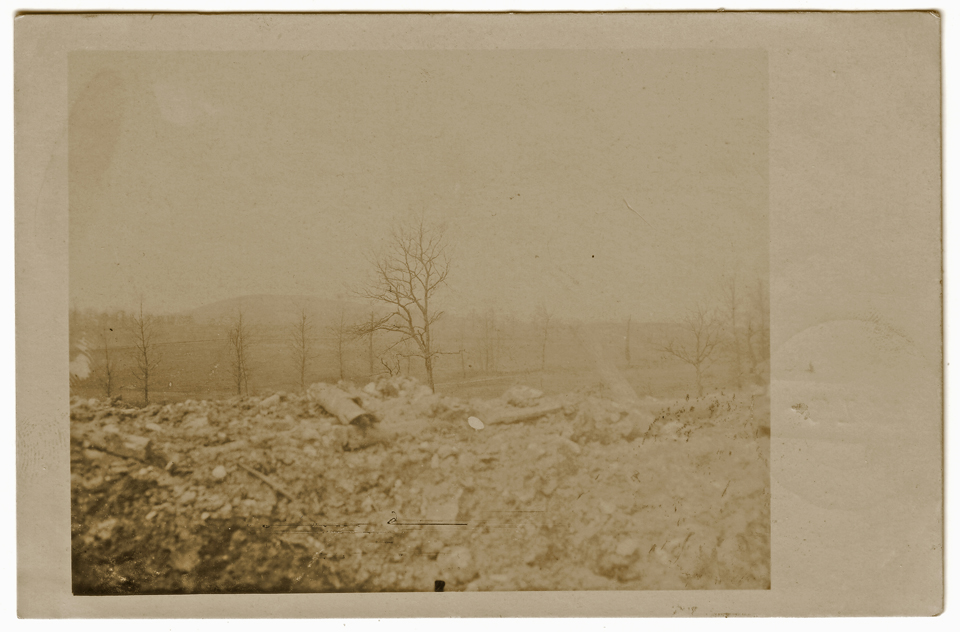 Vue de la tranchée sur l'une des croupes de la forêt d'Argonne