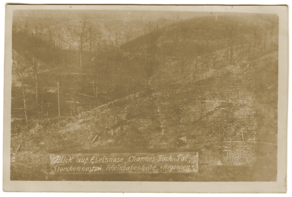Vue sur le Nez d'âne, le ravin de Fontaine aux Charmes, le Nid de Cigogne, et Rheinbabenhöhe