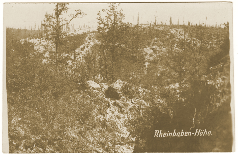 Vue sur la hauteur Rheinbaben